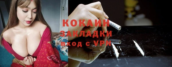 стаф Новокубанск