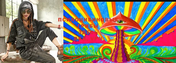 МДМА Новозыбков