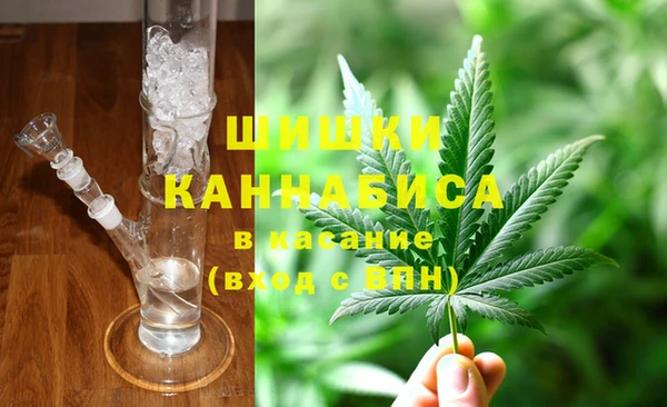 стаф Новокубанск