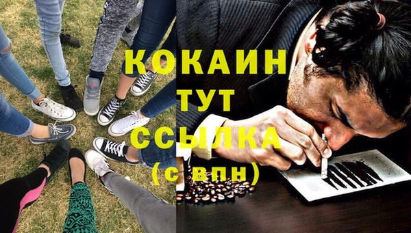 молекула духа Новодвинск