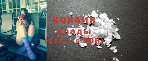 стаф Новокубанск