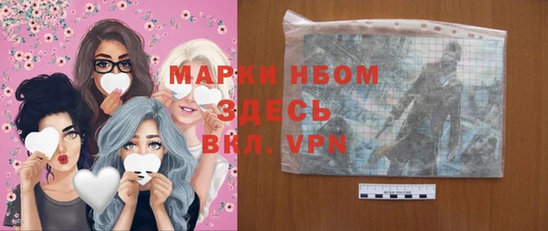 стаф Новокубанск