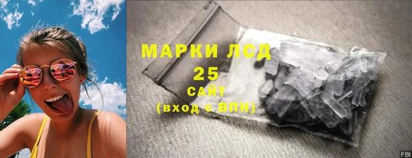 стаф Новокубанск