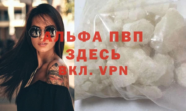 молекула духа Новодвинск