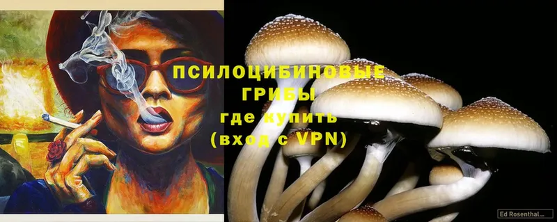 Галлюциногенные грибы Magic Shrooms  Остров 